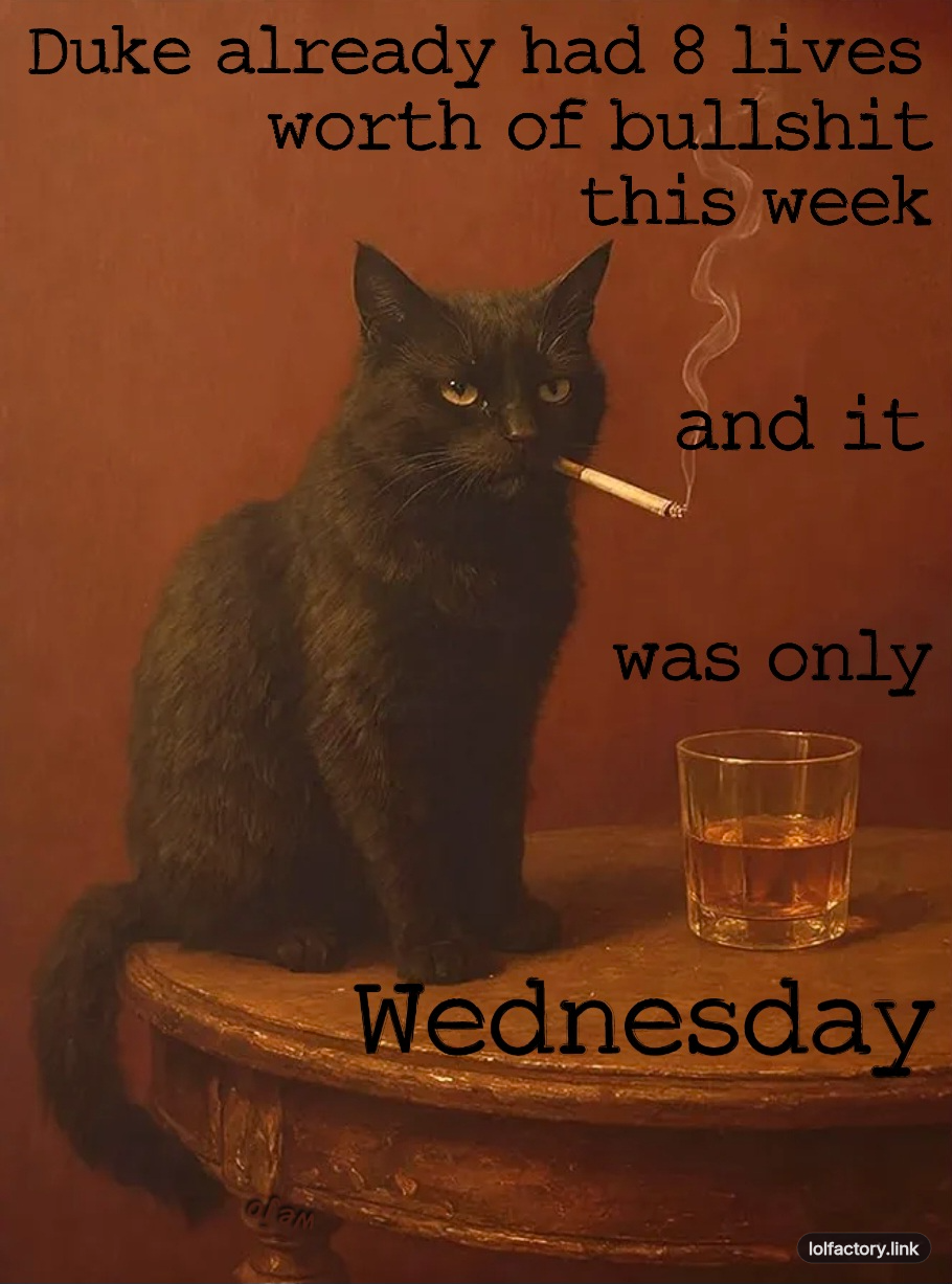Wednesday cat cigarette